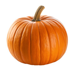 Obraz premium A large ripe orange pumpkin isolated on white background