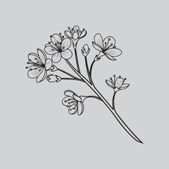 Botanical Baby?s Breath Minimal Artwork