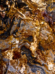 Close-up of a rock surface with intricate patterns and colors, showcasing geological formations.