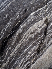 Close-up of a rock surface with a pattern of dark and light bands.