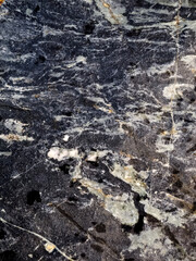 Close-up of a dark, textured rock surface with veins and patterns.