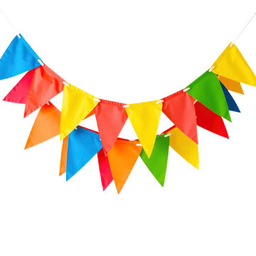 Triangle Branch with transparent background PNG and JPEG image