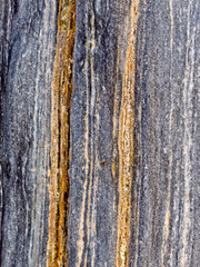 Obraz premium Close-up of a rock surface with vertical bands of gray, white, and gold colors.
