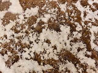 Close-up of sand with dark patches and small pebbles