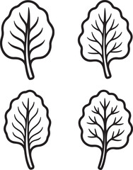 Set of Kale Leaf Outline vector illustration isolated On Transparent Background