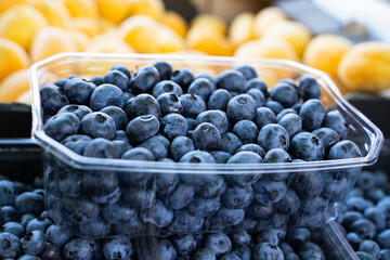 Close-up of blueberries in market containers against fresh apricots background, organic seasonal...