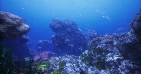 Obraz premium Colorful corals and various fish thrive in a vibrant underwater ecosystem. This beautiful ocean scene captures the serenity and richness of marine biodiversity in clear blue waters.