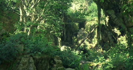 Fototapeta premium A vibrant forest setting filled with dense trees, lush foliage, and rugged rock formations. Sunlight filters through the leaves, illuminating the rich greenery and tranquil atmosphere.