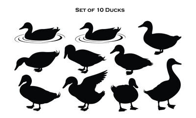 Set of 10 duck silhouettes in varied poses including swimming, walking, flapping, and sitting, symbolizing wildlife motion and diversity