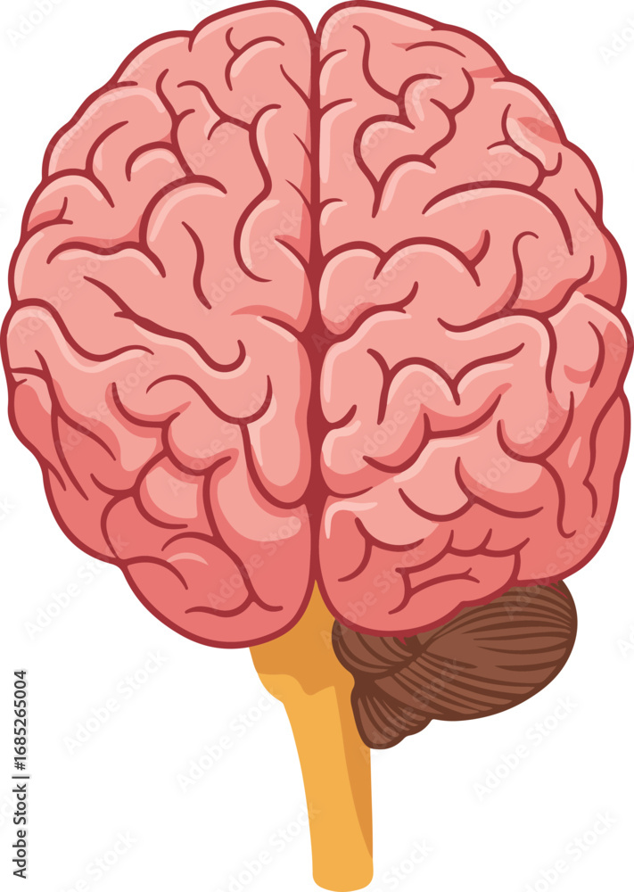 Poster ~temp_image_human_brain_vector_i_seed23971_1756290512547_1