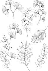 Obraz premium ~temp_image_Line_art_botanical_a_seed534093_1756377428818_1