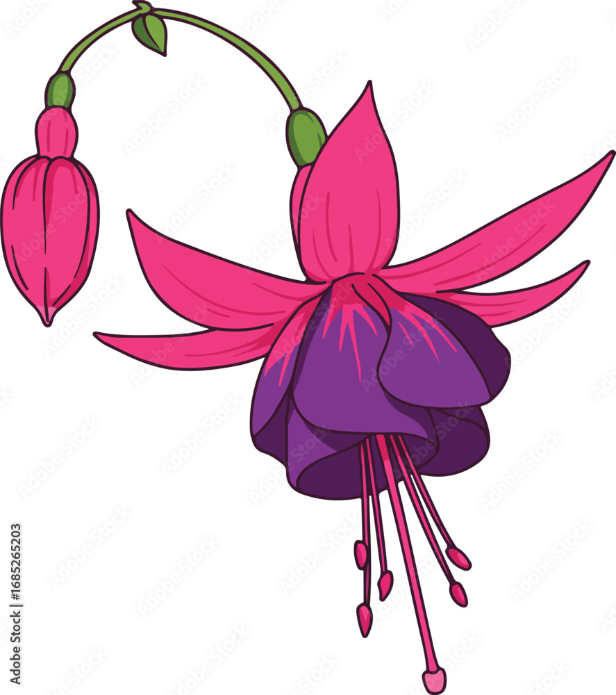 Poster ~temp_image_fuchsia_flower_line__seed12098_1756348726801_1