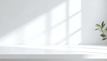 White minimalist interior with sunlit shadows and plant