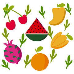 Tropical Fruit Colorful Vector Set