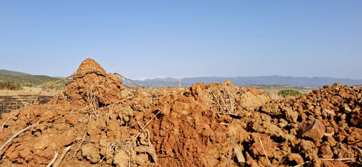Sardegna