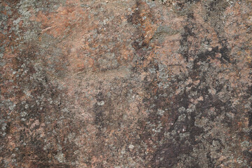 moldy stone wall
