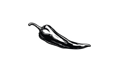 Black and white vintage illustration of a jalapeño pepper. Vector retro hand drawn illustration