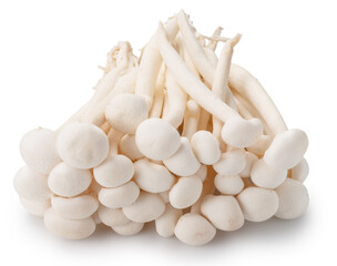 Cluster of shimeji or enoki mushrooms on white background. File contains clipping path.