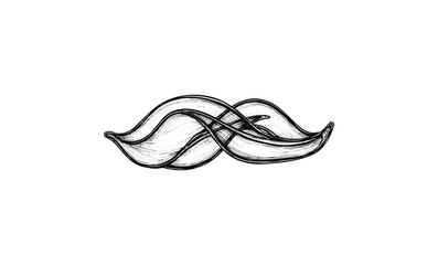 Naklejka premium Black and white hand-drawn curved mustache illustration with intricate details. Vector retro hand drawn illustration
