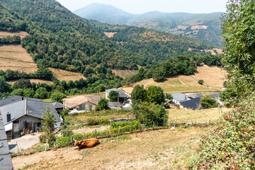 Leitariegos Valley in Asturias, Spain, with air polluted by smoke from the August 2025 forest fires