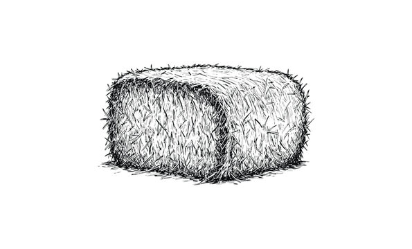 Monochrome sketch of a square hay bale with detailed texture. Vector retro hand drawn illustration