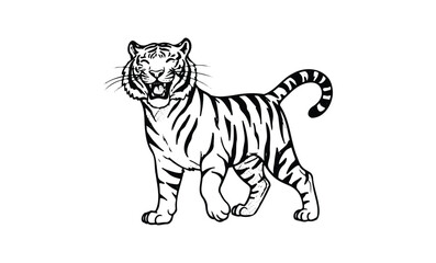 Fototapeta premium Fierce roaring tiger illustration in black and white. Vector retro hand drawn illustration