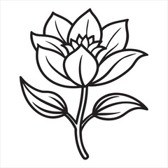 A Sunny Portrait of an African Daisy, an Elegant and Delicate Bloom with a Daisy-Like Shape, Perfect for a Garden or as a Cut Flower Arrangement