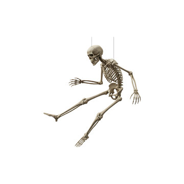 Classic Creepy Skeleton Figure &ndash; Halloween Horror Bne Decoration Isolated on White Background