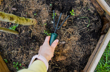 Three-Prong Hand Cultivator for Soil Aeration and Gardening