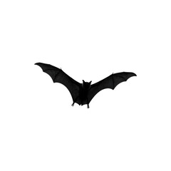 Fototapeta premium Flying Bat in Dark Silhouette for Haunted House, Horor Night and Gothic Halloween Scene