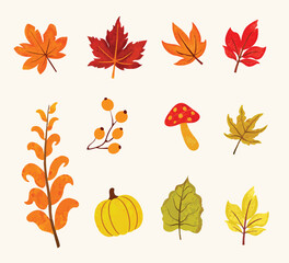 Obraz premium Collection of autumn leaves hand drawn water color style