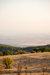 Obraz premium Several horses graze in a sunlit field surrounded by scattered trees, forested hills, and distant farmland under a hazy sky.