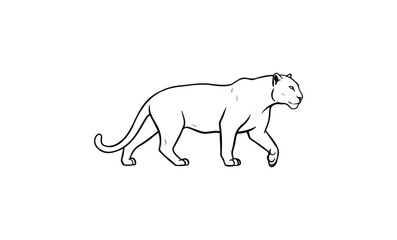 Fototapeta premium Outline drawing of a walking panther in profile view. Vector retro hand drawn illustration