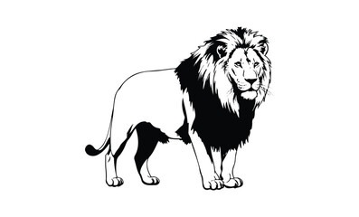 Obraz premium Majestic black and white lion illustration featuring bold mane and strong stance. Vector retro hand drawn illustration
