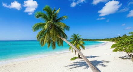 Obraz premium Vibrant tropical beach with leaning palm trees turquoise water and white sand paradise
