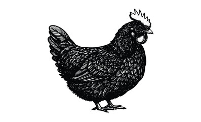 Fototapeta premium Intricate black and white sketch of a detailed hen profile with rich feathers. Vector retro hand drawn illustration