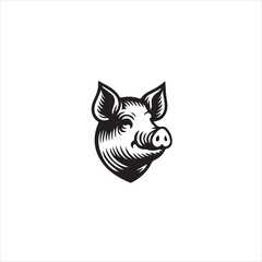 Engraved pig head isolated on white background in vintage style drawing