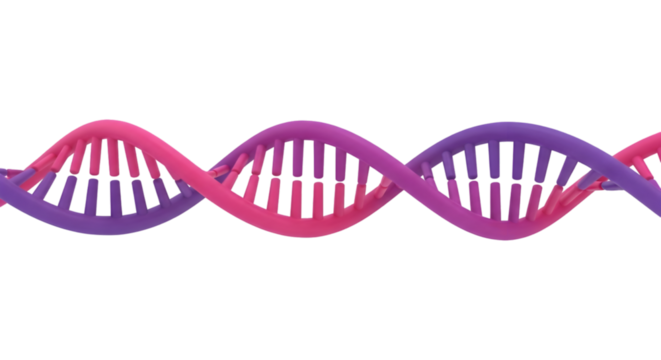 red and blue dna - Powered by Adobe