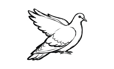 Obraz premium Graceful dove outline drawing with outstretched wings. Vector retro hand drawn illustration