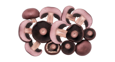 close up of a bunch of keys