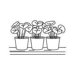 Potted Plants with Leaves on a Shelf Line Art Vector