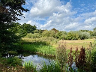 Amsterdam Vondelpark on a sunny autumn day with Dutch clouds