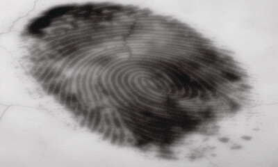 blurry black fingerprint on a white surface showing the unique pattern of the skin ridges and swirls White Background.