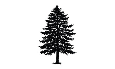 Silhouette of a tall pine tree. Vector retro hand drawn illustration