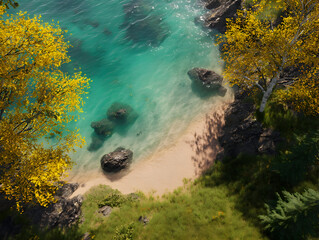 Secluded Cove: Turquoise Waters and Golden Leaves