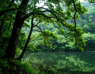 Lush green forest reflecting on a calm lake (1)