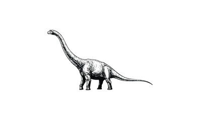 Detailed sketch of a brachiosaurus dinosaur in minimalist style. Vector retro hand drawn illustration