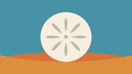 Delicate Sand Dollar on the Beach a Symbol of Coastal Marine Nature