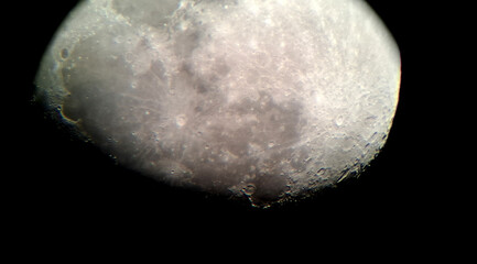 Luna © Steve Fossiant