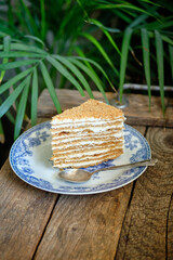 piece of honey cake. wooden background, side view